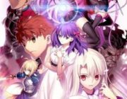 【映画】劇場版 Fate/stay night Heaven's Feel I. presage flower【ネタバレ|感想|評価|評判】